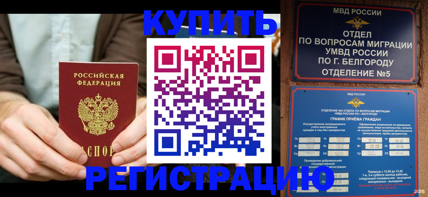 прописка 2025 в Ступино