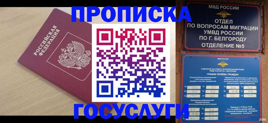 прописка законно в Ступино